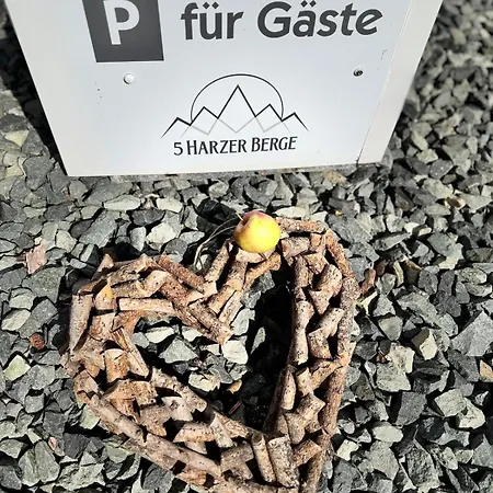 Fuenf Harzer Berge. Rehberg 상트안드레스베르크